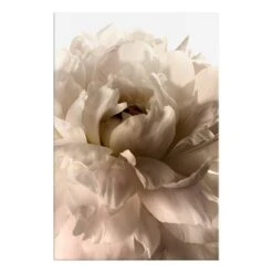 Tableau Déco Soft Petals -Komar || Wenko || Amadeus Soldes Magasin 1000348515 220609 031 DETAILS P000000001000348515