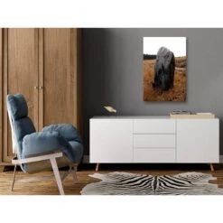 Komar || Wenko || Amadeus Soldes Magasin -Komar || Wenko || Amadeus Soldes Magasin 1000348555 220609 020 MOOD DETAILS P000000001000348555 mood