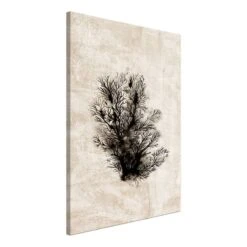 Tableau Déco Oceanic