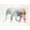 Papier Peint Intissé Painted Elephant -Komar || Wenko || Amadeus Soldes Magasin 1000348882 220519 010 IMAGE P000000001000348882