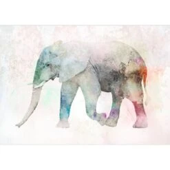 Papier Peint Intissé Painted Elephant