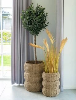 Paniers De Rangement Sarbas - Lot De 2 -Komar || Wenko || Amadeus Soldes Magasin 1000378242 230330 021 MOOD DETAILS P000000001000378242 mood