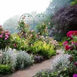 Tuteur à Tomates En Lot De 2 -Komar || Wenko || Amadeus Soldes Magasin 110d7e372d73429a8f3c9cca6781b795