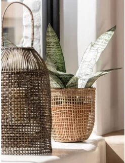 Set De 5 Paniers Oasis -Komar || Wenko || Amadeus Soldes Magasin 117f7b41c62f4da49e44638a6cdf16bd.cropped 138 89 921 1196.processed