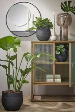 Miroir Mural Phoenix -Komar || Wenko || Amadeus Soldes Magasin 1477054d94c241679ea1327a90eb6aba