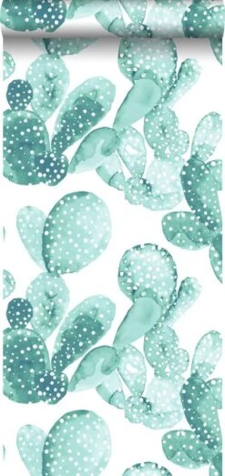 Papier Peint Cactus Peint à L'aquarelle