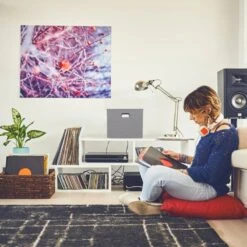 Lot De 6 Boîtes De Rangement Carrées -Komar || Wenko || Amadeus Soldes Magasin 20658b4c4a6447c8beff02c017f40f5f 2