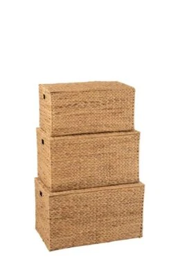 Set De 3 Paniers Rectangulaire Jacynthe -Komar || Wenko || Amadeus Soldes Magasin 27061a72d8e74e79bd17c4ecb9d399cc