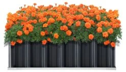 Jardinière Zevenaar Rectangulaire 28 Jardinière Zevenaar Rectangulaire -Komar || Wenko || Amadeus Soldes Magasin 27bd4644178a49fa8c8a99d17824e2df.cropped 54 457 1898 1081.processed