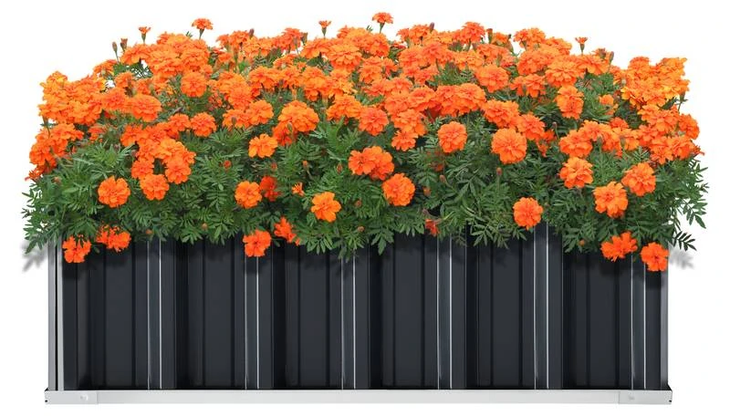 Jardinière Zevenaar Rectangulaire 11 Jardinière Zevenaar Rectangulaire – Image 9