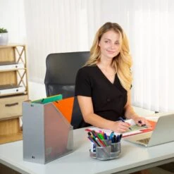 Porte-magazines 2 Compartiments -Komar || Wenko || Amadeus Soldes Magasin 442b954582a2412b9263cbfe520ff6fe