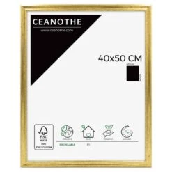 Cadre Photo CIRCEE DOREE