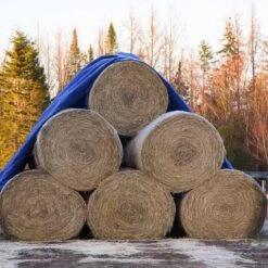 Bâche De Protection 8x12m 180g/m² Blanc -Komar || Wenko || Amadeus Soldes Magasin 49e4acce69fb418a8b4c7a554029a66e 1