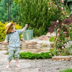 Arche à Rosiers Noire 12 Arche à Rosiers Noire -Komar || Wenko || Amadeus Soldes Magasin 504f1293042e4c92aff98d3a955de6a2