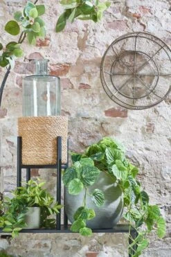 Panier à Plantes Atlantic 15 Panier à Plantes Atlantic -Komar || Wenko || Amadeus Soldes Magasin 5edff7b995ae452a91d9f2ebdbaaa28b