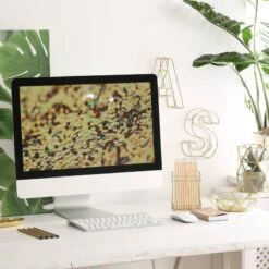 10x Pots à Pinceau De Maquillage Carré -Komar || Wenko || Amadeus Soldes Magasin 5fd118eac77e4b3c91a3ee86b09801c4