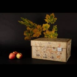 Boite De Rangement Ancient World Map -Komar || Wenko || Amadeus Soldes Magasin 73583e7246274c7a87ca41f481acf6d0