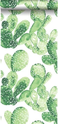 Papier Peint Cactus Peint à L'aquarelle -Komar || Wenko || Amadeus Soldes Magasin 764633b7c30640c8825760ed969d778d