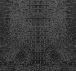Papier Peint Panoramique Peau De Crocodi
