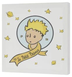 Ses Amis Toile 27x27 Cm