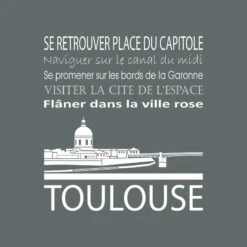 Tableau Sur Toile Toulouse 30x30 Cm -Komar || Wenko || Amadeus Soldes Magasin 805d33fce7d84986b7146154e5a9c72d