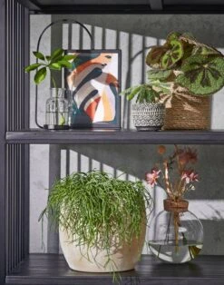 Panier à Plantes Atlantic 13 Panier à Plantes Atlantic -Komar || Wenko || Amadeus Soldes Magasin 88d491fd083c40faa684967f87126dbe