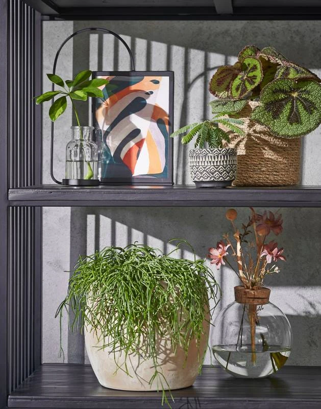 Panier à Plantes Atlantic 5 Panier à Plantes Atlantic – Image 3