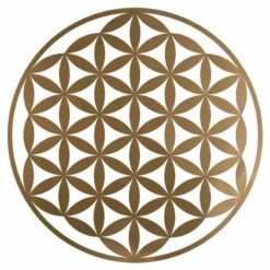 Décoration Murale Ronde -Komar || Wenko || Amadeus Soldes Magasin 8cebc91cf8f4486a8cc263488efce3cf.cropped 32 32 836 837.processed