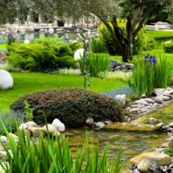 Tuteur De Jardin Set De 2 -Komar || Wenko || Amadeus Soldes Magasin 8d02c1978b01423b8eed3c60241a31a0