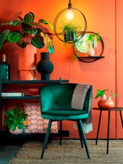 Miroir Mural Phoenix -Komar || Wenko || Amadeus Soldes Magasin 9babc8a044e94840bb5f56818f213f90