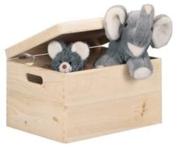 Récipient De Rangement -Komar || Wenko || Amadeus Soldes Magasin 9f6621d87194421bb7f3bd01576c065c.cropped 7 49 626 524.processed