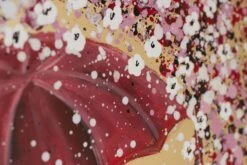 Tableau Peint Blossoming Of The Senses -Komar || Wenko || Amadeus Soldes Magasin a3cd1fa2302a4dcab369d18d2db9039d