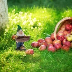 Nain De Jardin Avec Abreuvoir à Oiseaux -Komar || Wenko || Amadeus Soldes Magasin ae5d018521304ead84ae1ec58f2a3bef