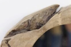 Miroir Mural Miroir -Komar || Wenko || Amadeus Soldes Magasin b469cf7498f949968519a41919dac8d5