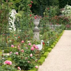 Lot De 4 Statues De Jardin Cigogne -Komar || Wenko || Amadeus Soldes Magasin bfb1df3a8b3c41fabe7bf91b480892e9