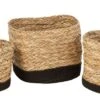 Set De 3 Paniers Carrés Herbe/coton 1 Set De 3 Paniers Carrés Herbe/coton -Komar || Wenko || Amadeus Soldes Magasin c791f202f8e740e68bdea0070202bb65.cropped 176 693 2583 1314.processed