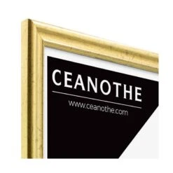 Cadre Photo CIRCEE DOREE -Komar || Wenko || Amadeus Soldes Magasin c949775eb03d47d4a3835cfd68261e65