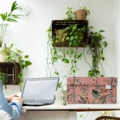 Boite De Rangement Floral Garden -Komar || Wenko || Amadeus Soldes Magasin cc6f782e591c40ddba33c35edf1336a7