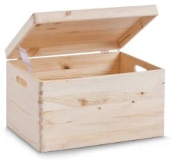 Récipient De Rangement -Komar || Wenko || Amadeus Soldes Magasin d6500c8e8d9241a090af96f9fcae0329.cropped 51 73 1103 1028.processed