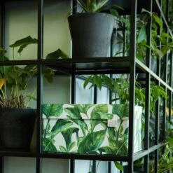 Boite De Rangement Green Leaves -Komar || Wenko || Amadeus Soldes Magasin d9a687c5535b4ebeade9b9b9175a92e7