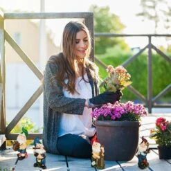 Lot De 4 Nains De Jardin Musiciens -Komar || Wenko || Amadeus Soldes Magasin e2de09bdec4e405699f61e24202c19ec