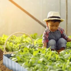 Bordure De Jardin De 12 M De Long -Komar || Wenko || Amadeus Soldes Magasin e8e9834096d444c68e95fe37374f8678