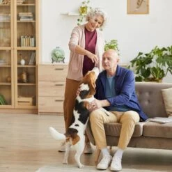 Chevalet De Table En Fonte De Fer 24 Chevalet De Table En Fonte De Fer -Komar || Wenko || Amadeus Soldes Magasin e9d3d3b6233841f0b81dd9edaaa3fa0e